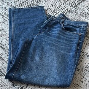 American Eagle Outfitters Dark Blue Straight Jeans